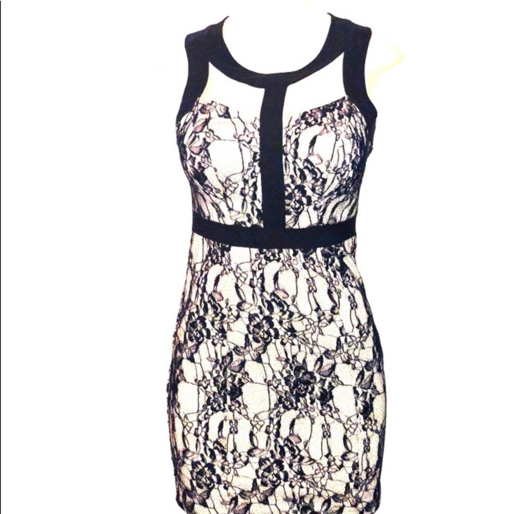 Elegant Sexy Cute Lace Dress.